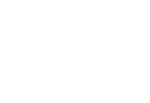 Cosmobots
