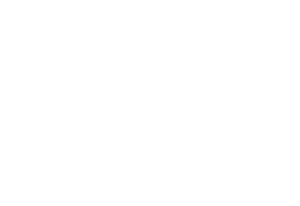 Hub Plural