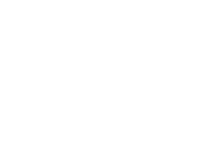 TDS Company